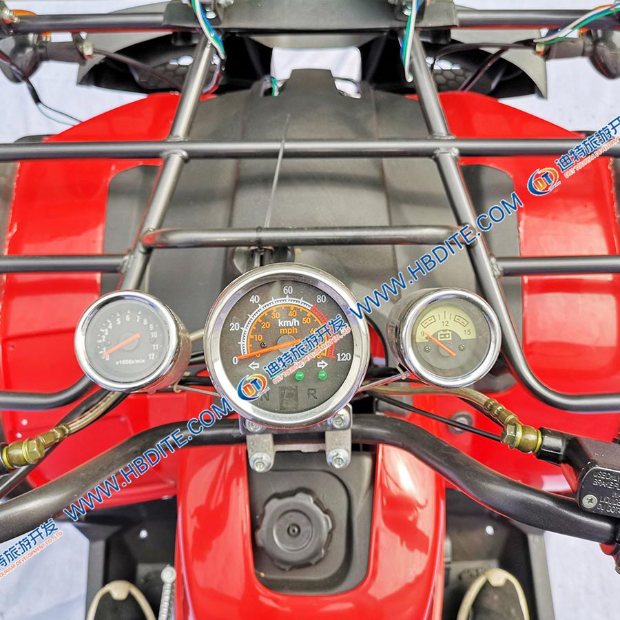 大公牛.jpg 大公牛.jpg